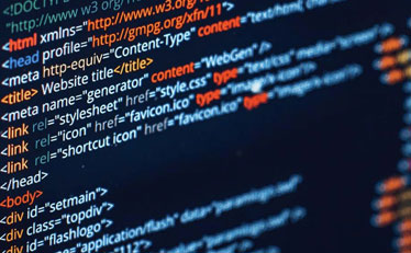 Customized Website Development