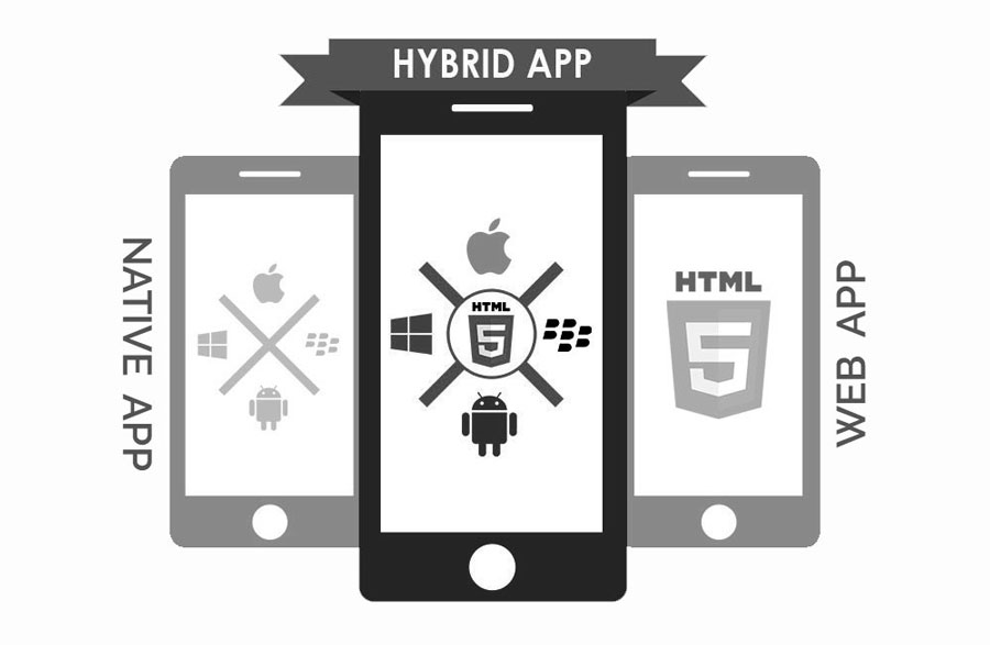 Hybrid App Development services