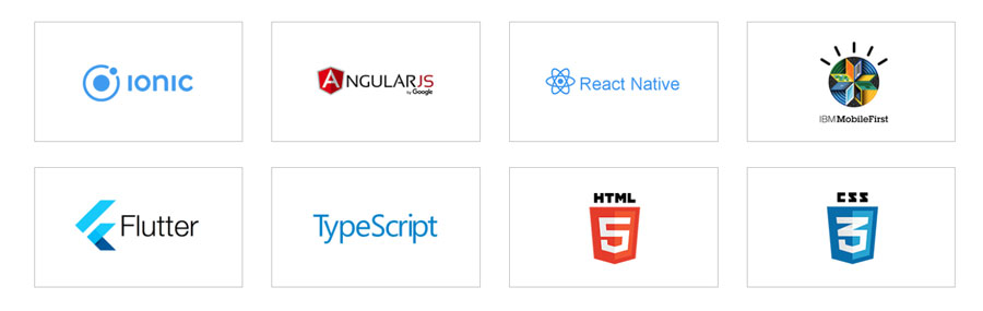 Hybrid App Development services